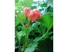 2016-06-02 14.03.22.jpg