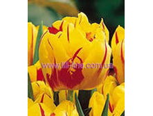 �������� �������� ������ ���-����� 125,3 ���. ��. (� �������� 7 ��.). ������ �� 50 ��. ������� ������ �� 12 ��..jpg