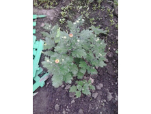 2017-06-16 19.08.34.jpg