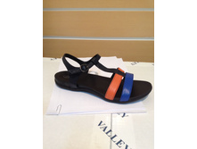 509 ������� ����