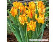 ������� ���������� ����-���� ���-��� 286,3 ���. ��. (� �������� 7 ��.). ������ �� 50 ��. ������� ������ �� 15 ��.!!!!!!!!!!�������� .jpg