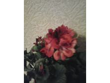 2016-03-03 23.40.21.jpg