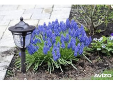 .������ � ����5.jpg