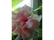 2016-06-06 12.30.48.jpg