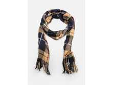 20206440026   Sampo          .jpg