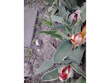 2017-05-22 18.08.13.jpg