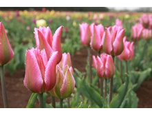 ������� ������� ������ ���-����� ����-��� 118,3 ���. ��. (� �������� 7 ��.). ������ �� 45 ��. ������� ������ �� 10 ��. ������� � ��̣���.jpg