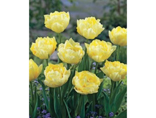 �������� �������� ������ ���-��� ���. ����.jpg