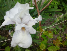 2016-05-16 16.24.13.jpg