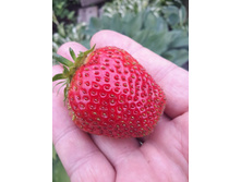 19642808 1964365100255720 948082668901554578 n.jpg