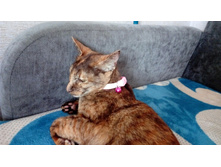 IMG 20170717 084628.jpg