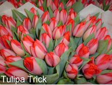 �������� ��������� ������� ��-�� 111,3 ���. ��. (� �������� 7 ��.). ������ �� 65 ��. ������� ������ �� 12 ��. .jpg