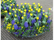 �������� � ����������.jpg