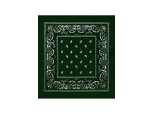 60 ���. - Paisley Cotton 55�55 ��