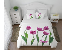 ���\�������: 08479 ���������� ����� "������� ��������"