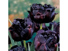 �������� �������� ������� ��-�� ��-�� ���. ����3..jpg