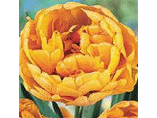 �������� ��������� ������� ��-�� ��-��� �� ���-������ �������� 104,3 ���. ��. (� �������� 7 ��.). ������ �� 60 ��. ������� ������ �� 15 ��!!!!!!!!!!!!!!..jpg