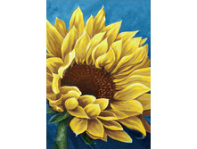 ��������� ������ 19�27 Ag 3429.jpg