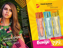 Cat-11-2017-01 8.jpg