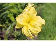 ���� ����� ���.JPG