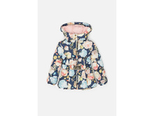 21220130012   Acrija          (   ).jpg