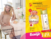 Cat-11-2017-01 9.jpg