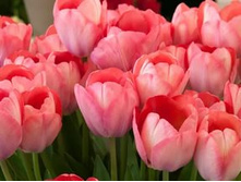 �������� ��������� ������� ��-���� ��-� ��-� ���. ����.jpg