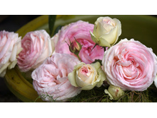 ���� �� ������