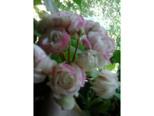 2016-06-12 15.30.36.jpg