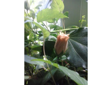 2016-06-02 14.04.50.jpg