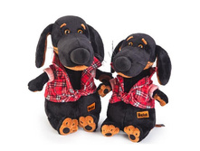 ������ � �������