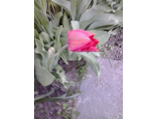 2017-05-07 18.38.18.jpg