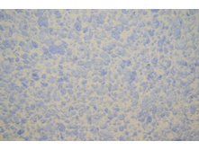 Silk Plaster Relief 326.JPG