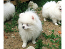 ��� �� �������� 011.JPG