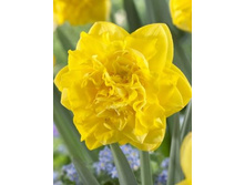 ���-���� ���-����� ���-����� ��� ����-����� 88,5 ���. ��. (� �������� 3 ��.). ������ �� 45 ��. ������� ������ �� 9 ��.!!!!!!!!!!!!!! ��������.jpg