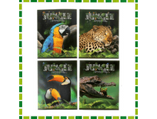 ������� 48 ������ ������ "�������" (1+1) �������: ��194317