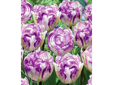 �������� �������� ������� ��-�� ��-��� ���. ����.jpg