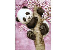 �������� ����� 27�38 Ag 3434.jpg