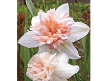 ���-���� ���-����� ��-�� ���-�� 68,7 ���. ��. (� �������� 3 ��.). ������ �� 40 ��. ������� ������ �� 9 ��.!!!!!!!!!!!!!! ��������.jpg