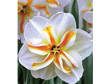 ���-����� ����������� ���-���� (����� ����� ������) 89,7 ���. ��. (� �������� 3 ��.). ������ �� 45 ��. ������� ������� �� 10 ��.!!!!!!!!!!!!!! �������� .jpg