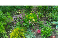 P 20170702 143503.jpg