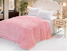 ���� �������� (������-�������).jpg