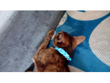 ������� ��� ����� ��� ��������� ������