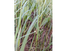 IMG 20170622 181448.jpg