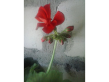 2016-05-14 13.11.11.jpg