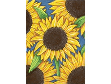 ������ ���� 19�27 Ag 3428.jpg