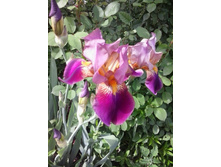 2016-06-02 14.14.53.jpg