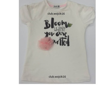 842 � + ��� %