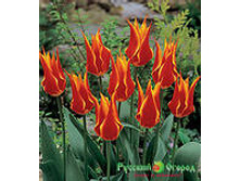 �������� ������������ ��-�� ��-�� 111,3 ���. ��. (� �������� 7 ��.). ������ �� 60 ��. ������� ������ �� 8 ��. .jpg