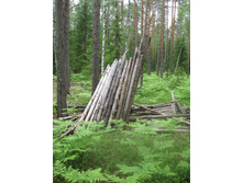 IMG 0120.JPG